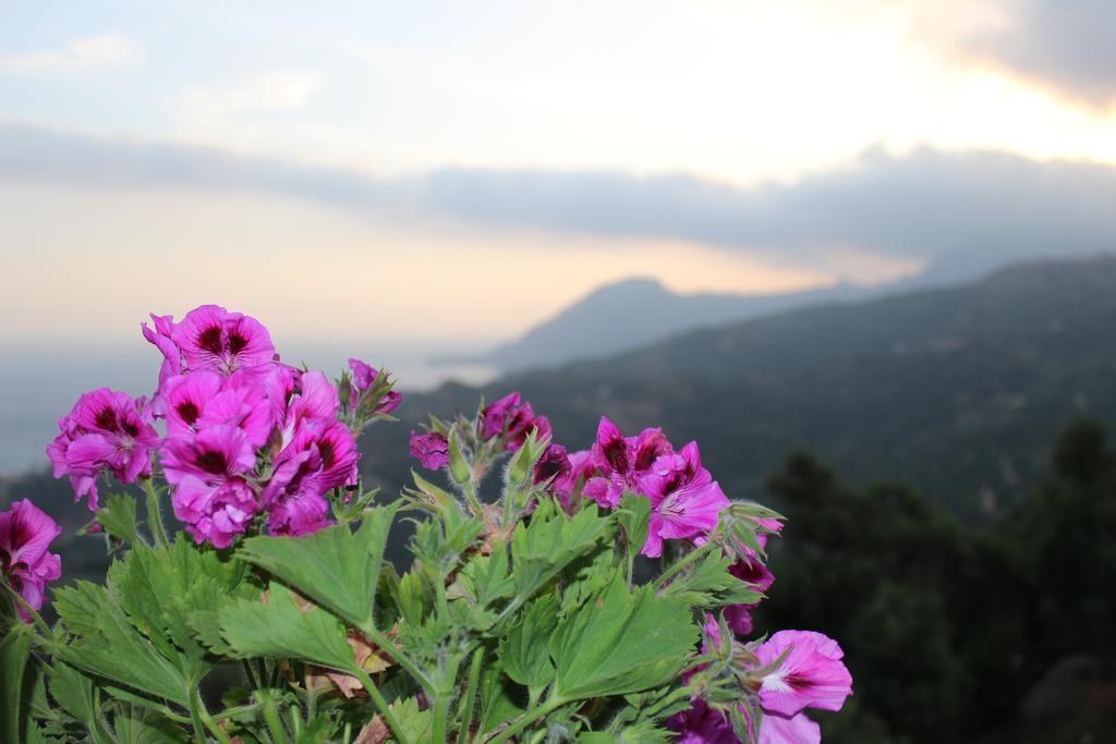 Mirthios Felicity Apartment Plakias Dış mekan fotoğraf